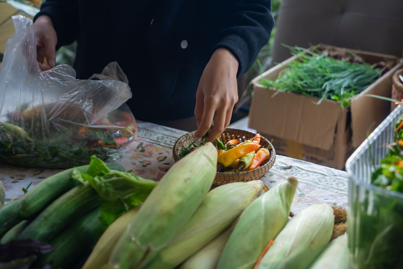 A shopper picks small peppers from a basket at a produce stall stacked with corn, greens and fresh herbs