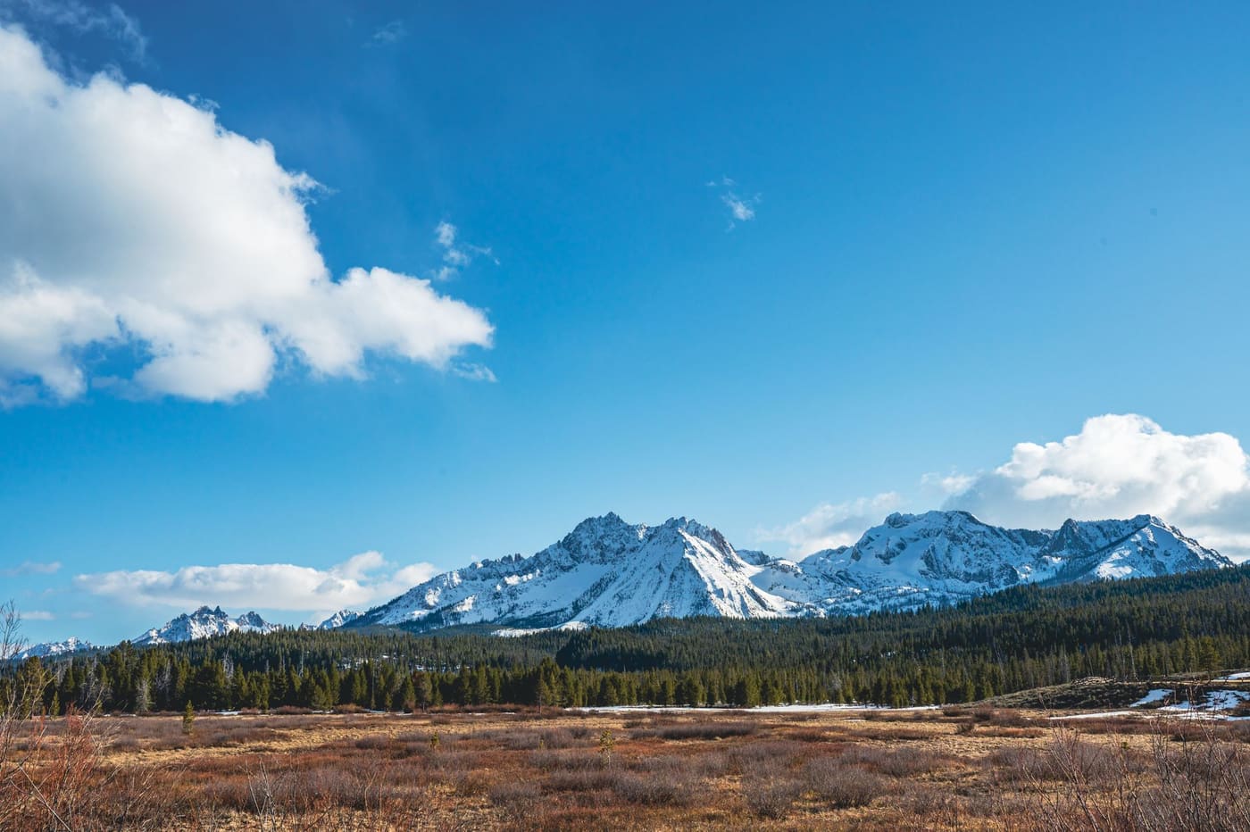 Snow-covered peaks of the Sawtooth Range above a pine forest and a brown meadow near Stanley, Idaho