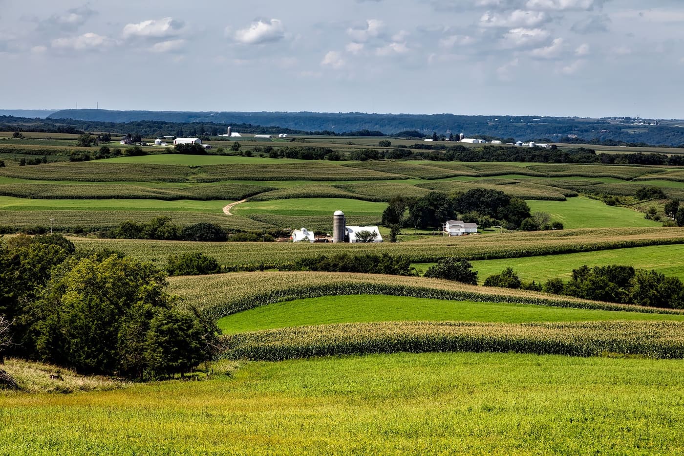 Rolling cornfields and green pasture around a white farmstead with a silo in northeast Iowa