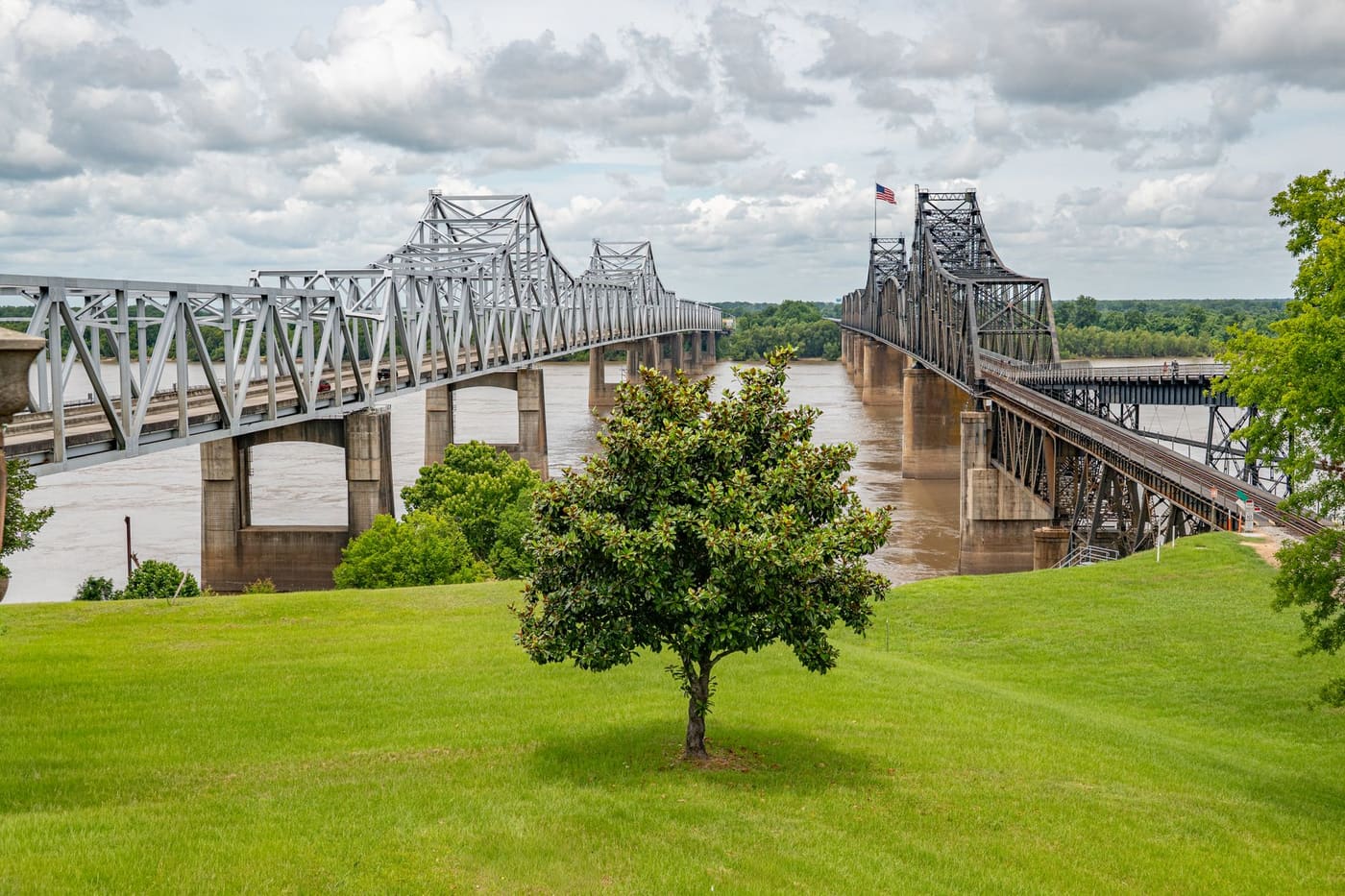 Two steel truss bridges crossing the brown Mississippi River at Vicksburg, seen from a grassy bluff with a young magnolia tree