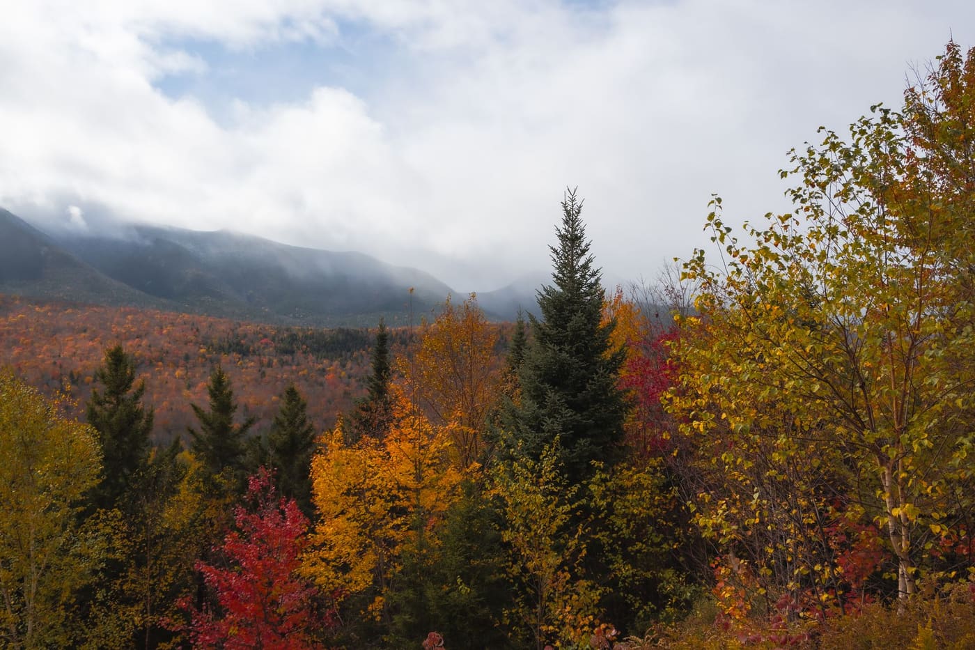 Red, orange and yellow autumn trees below cloud-covered mountains in the White Mountain National Forest