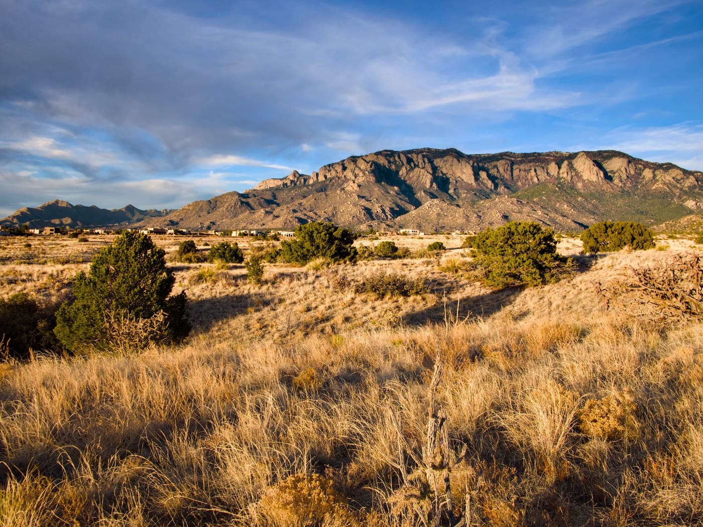 Golden desert grassland and juniper shrubs below the rocky face of the Sandia Mountains outside Albuquerque under a blue sky