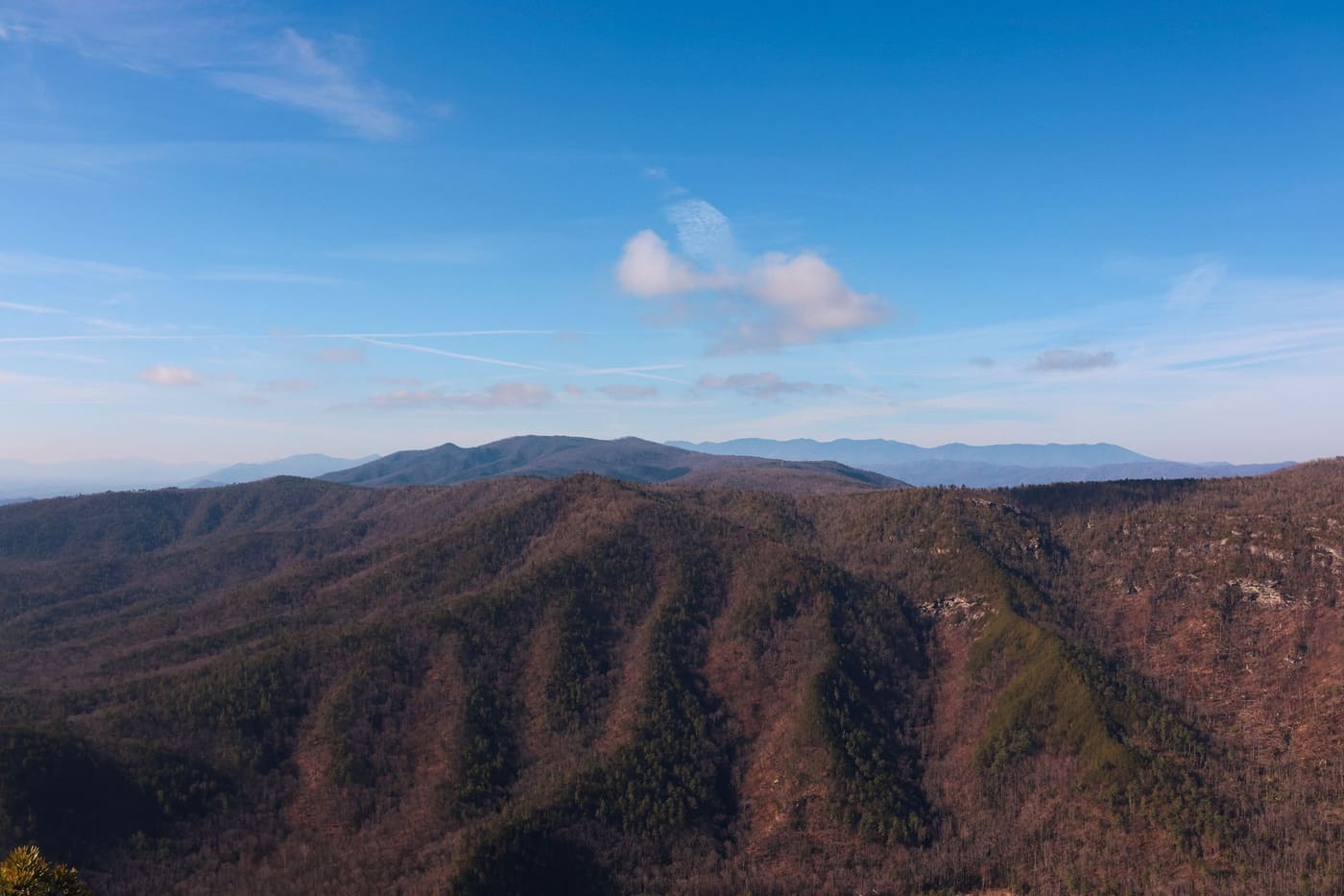 Forested ridges of Linville Gorge in the North Carolina Blue Ridge Mountains, with layered blue peaks on the horizon
