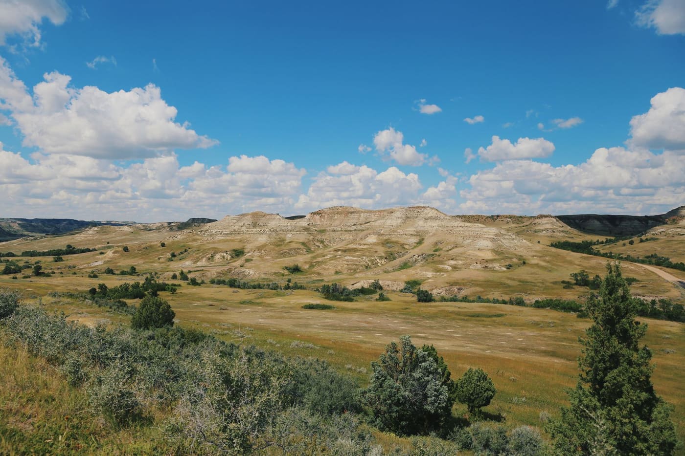Eroded tan buttes and green grassland with junipers in Theodore Roosevelt National Park under a sky of white clouds