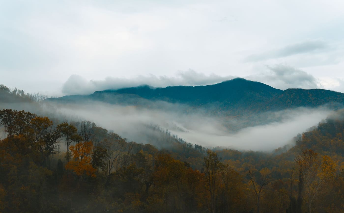 Fog settling in a valley of the Great Smoky Mountains in Tennessee, with autumn trees in gold and brown below a dark forested ridge